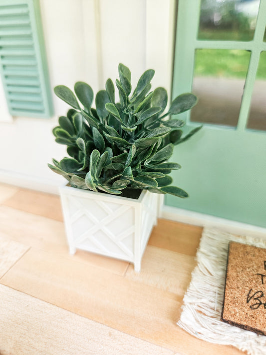 Dollhouse Miniature Plant, Dollhouse Plants, Dollhouse Decorations, Mini Planter, Dollhouse Decor, 1:12 Scale Plants