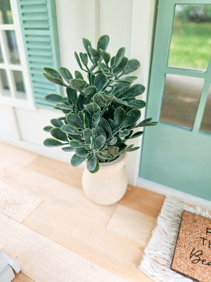 Dollhouse Miniature Plant, Dollhouse Plants, Dollhouse Decorations, Mini Plants, Dollhouse Decor, 1:12 Scale Plants